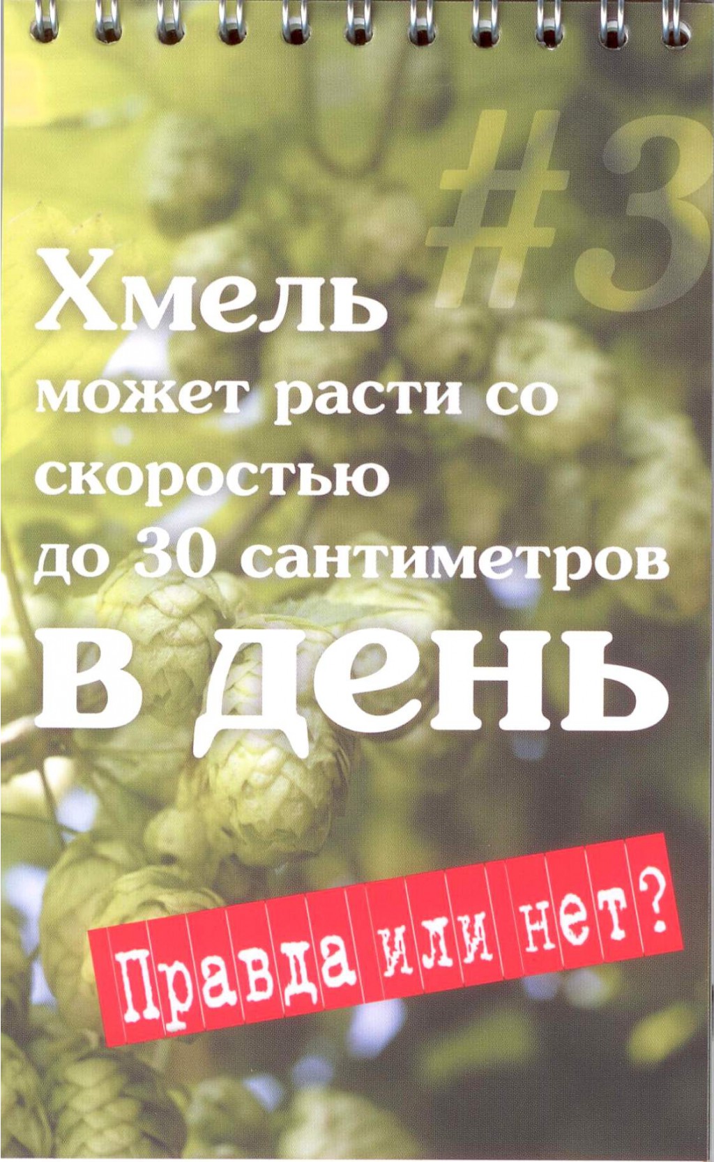 13.01.2012 11:23:52