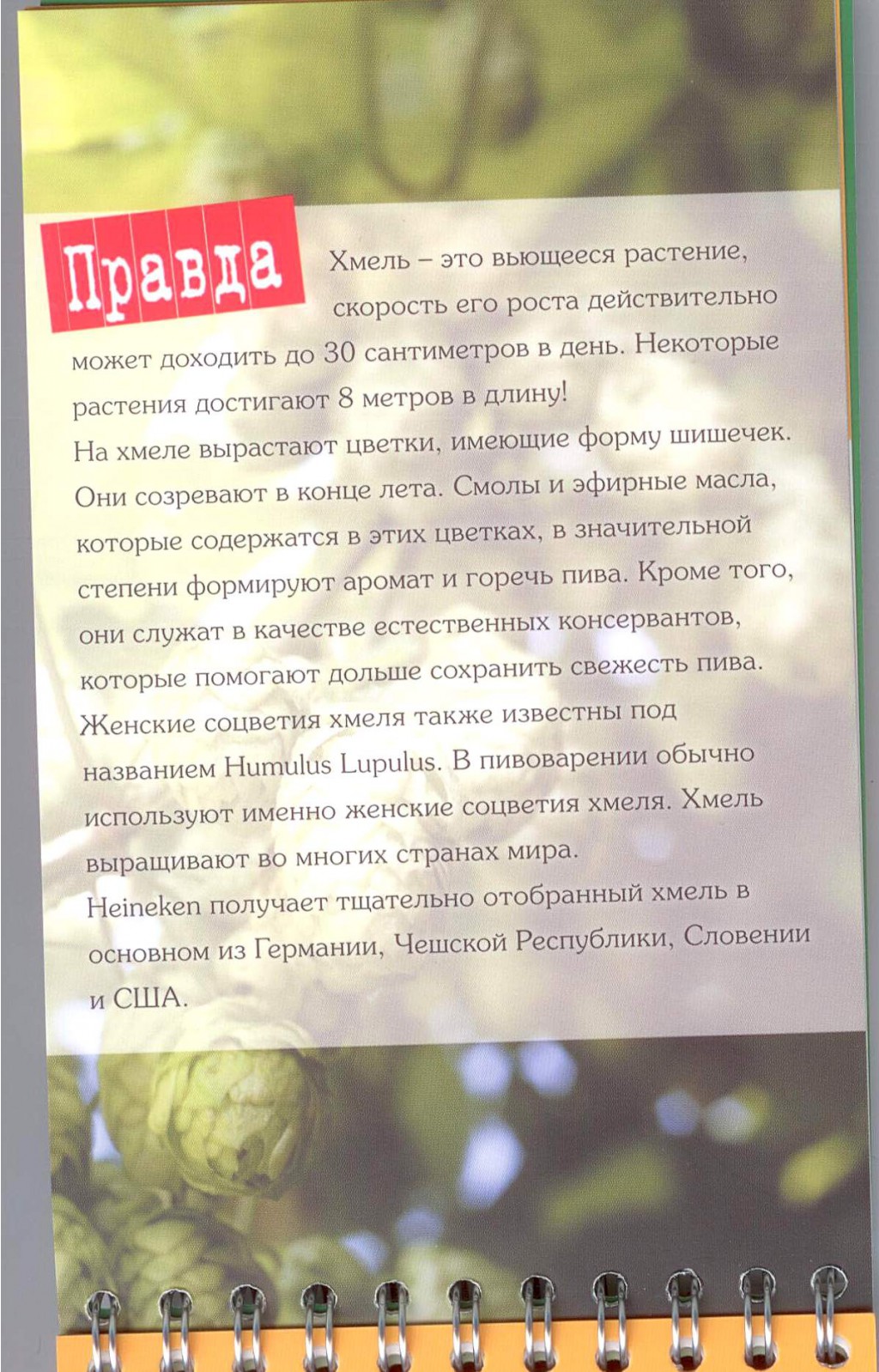 13.01.2012 11:24:06