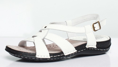 medium_3169-02-12 white 640 .jpg