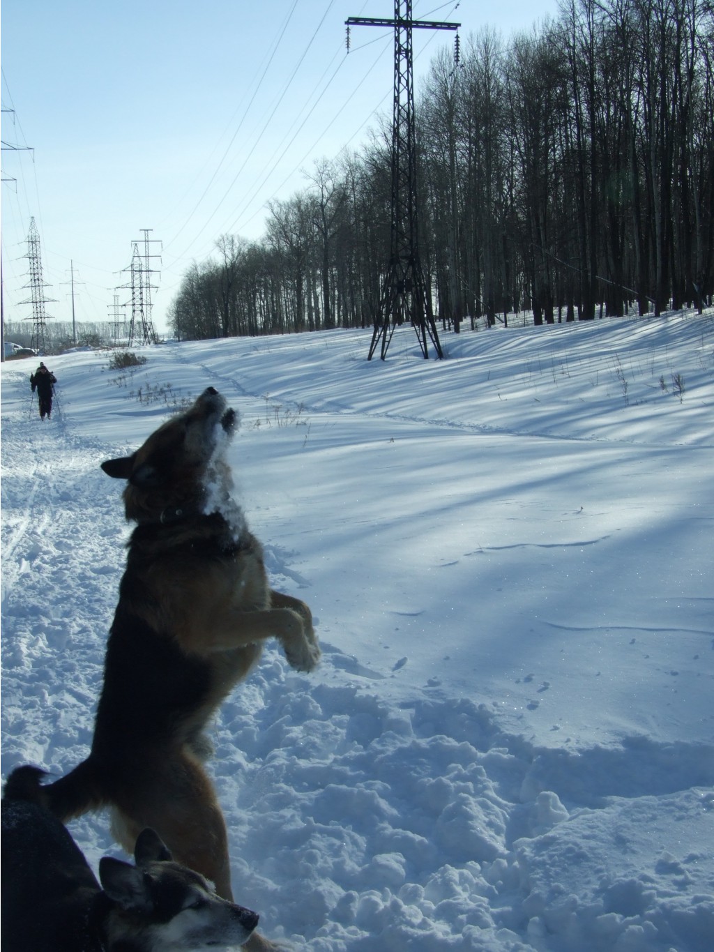 DSCF0109.JPG
