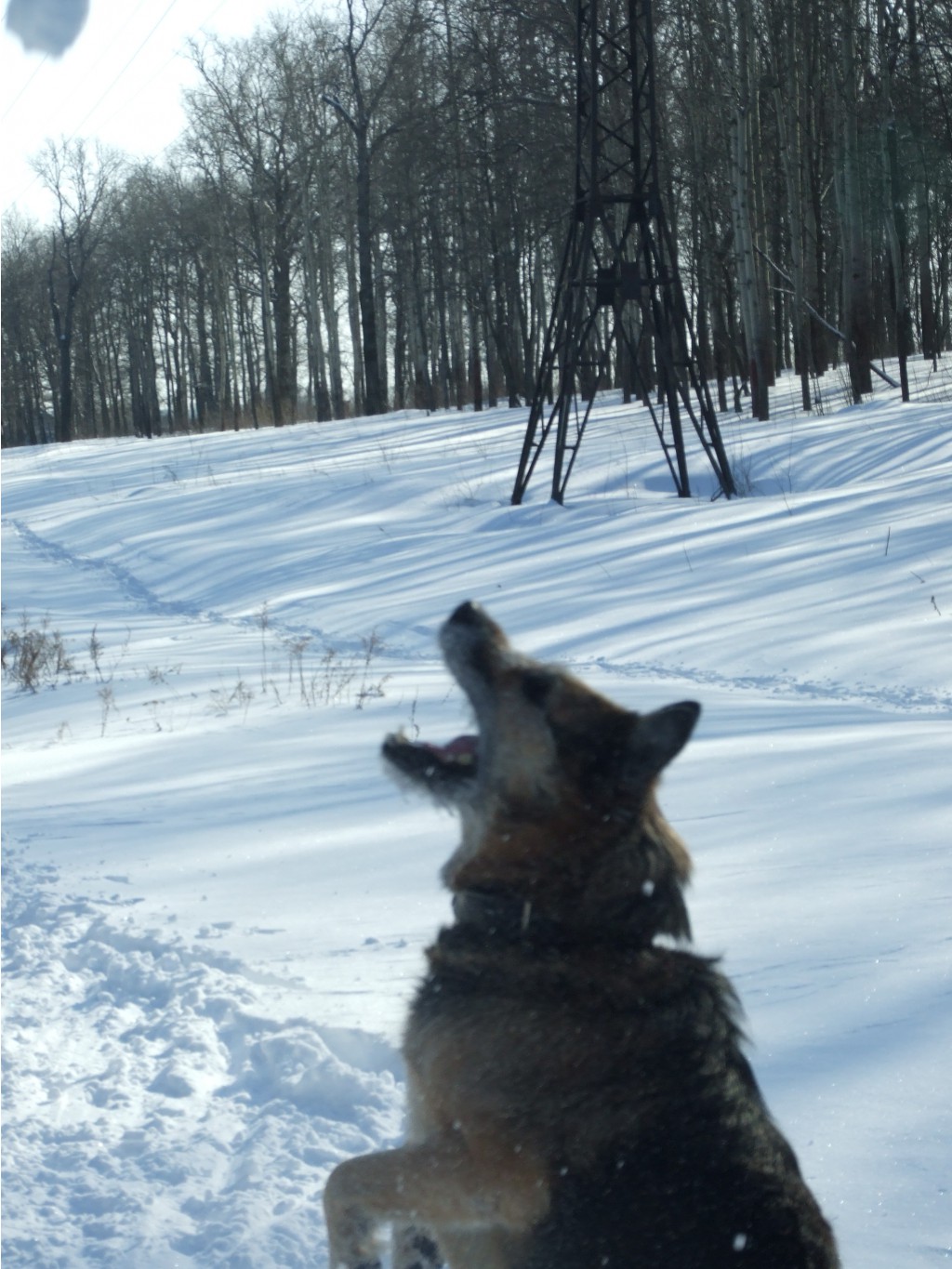 DSCF0105.JPG