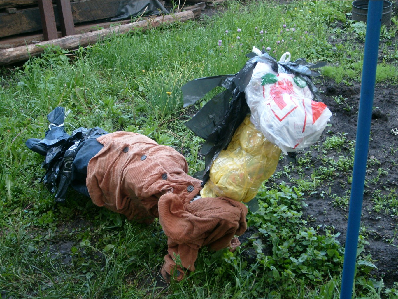 конь в пальто.jpg