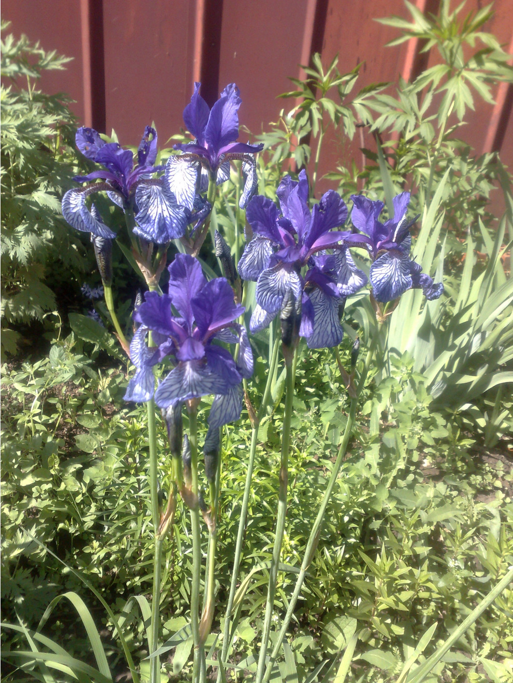 240420072023.jpg