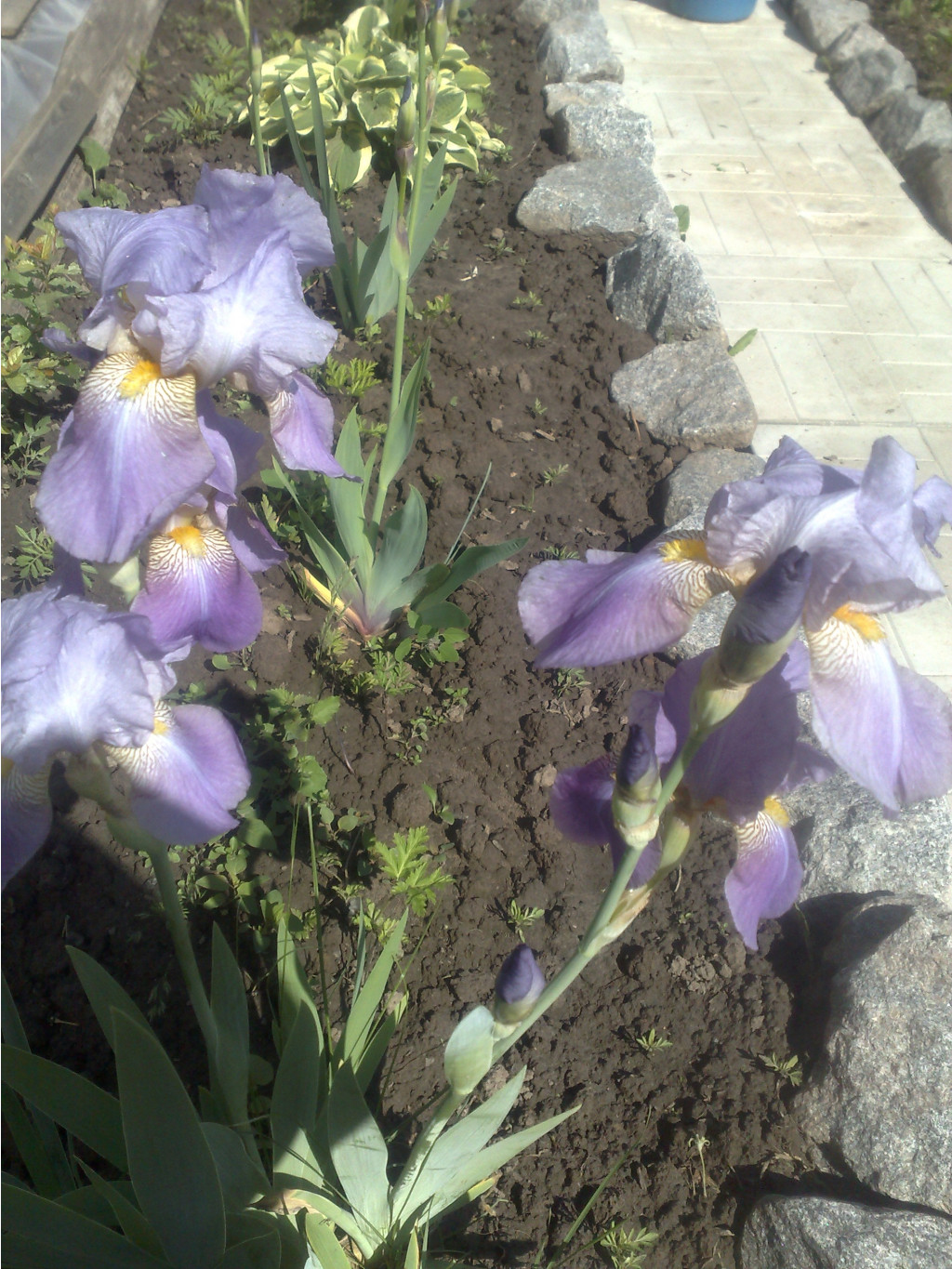 240420072028.jpg