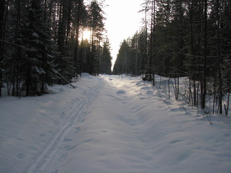 MG_5338.jpg