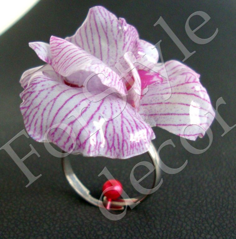 ring_orchid_2.jpg