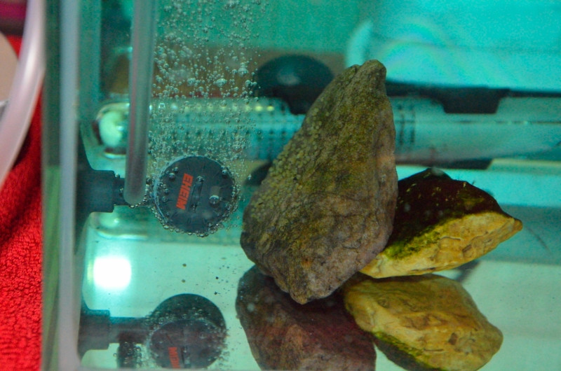 DSC_8392_009.JPG