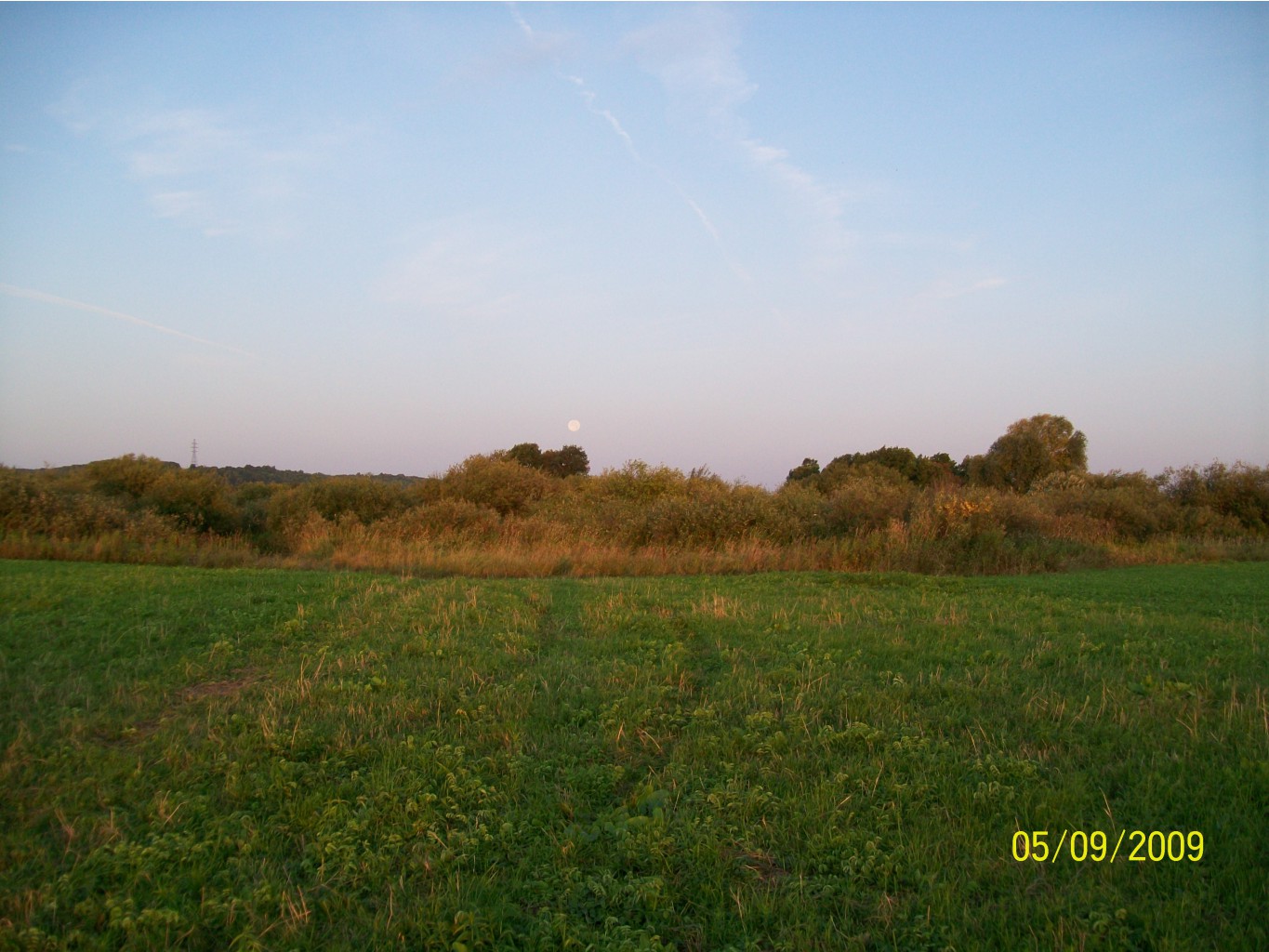 100_0199.JPG