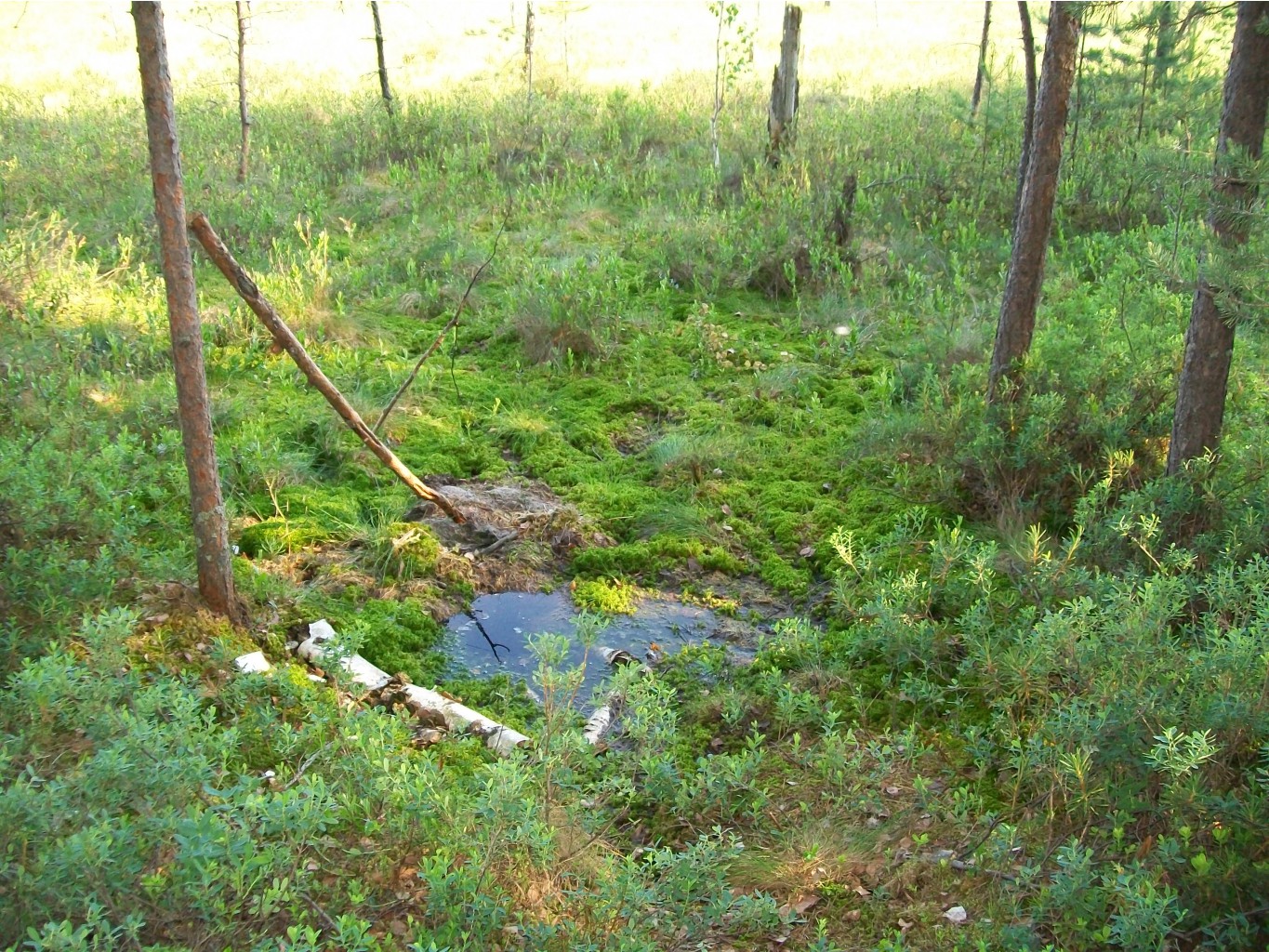 100_0360.JPG