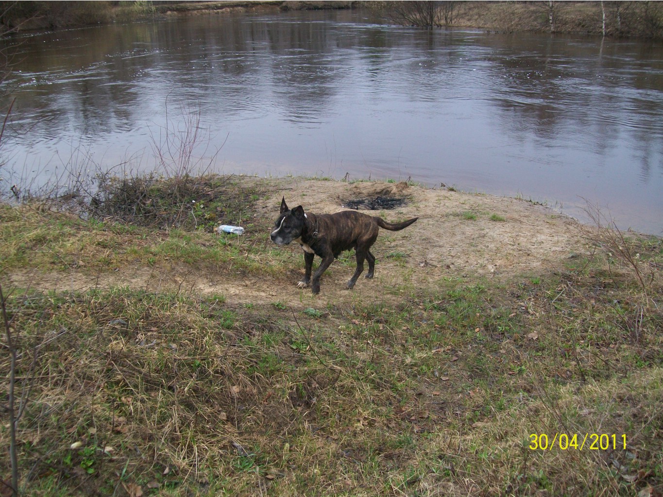 100_0685.JPG