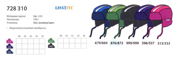 728310.jpg