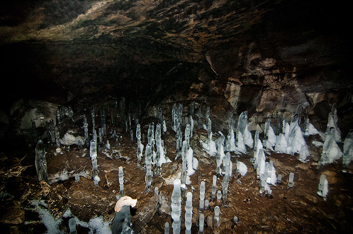 _DSC8974.jpg