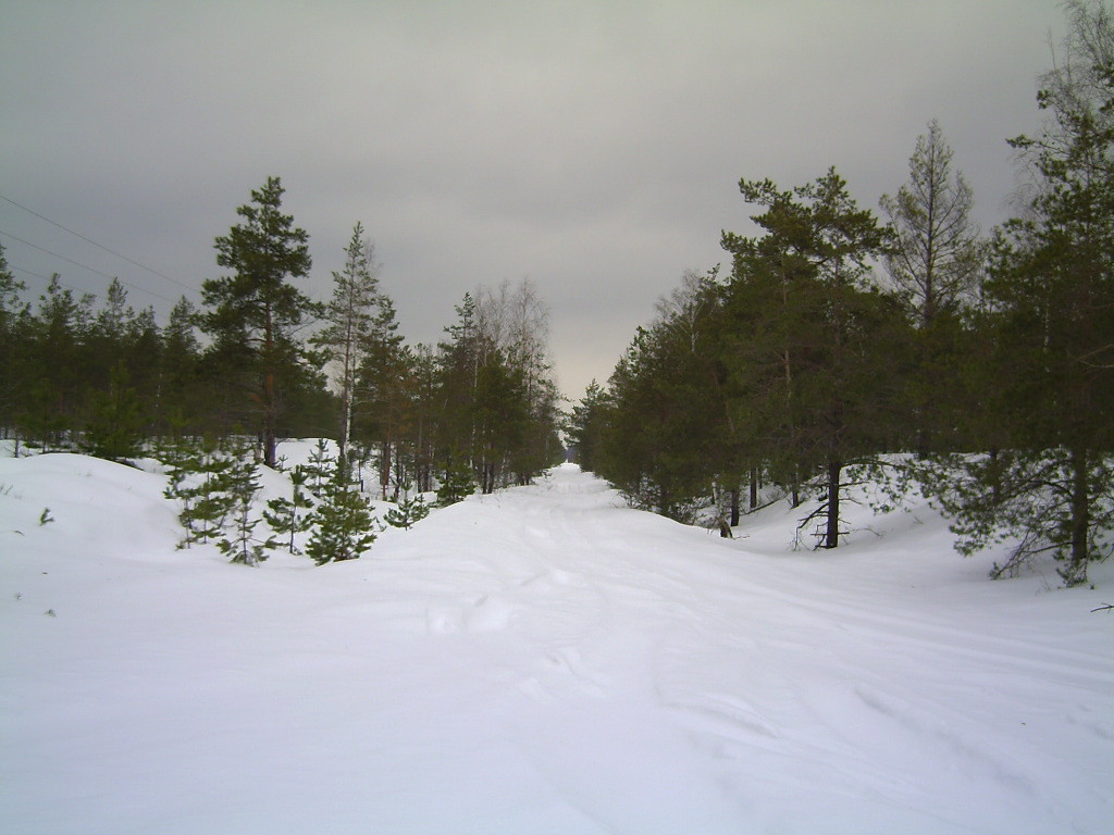 PICT0052.JPG