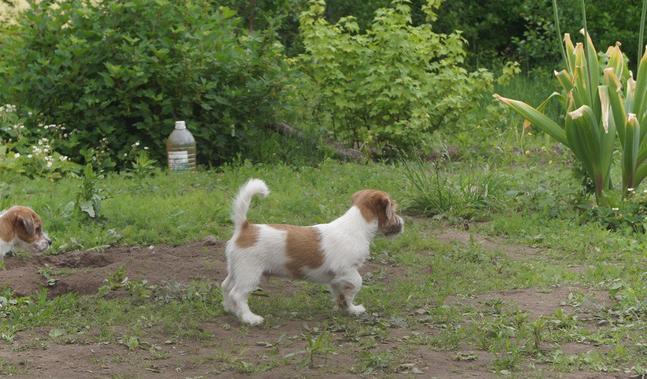 DSC08060.JPG