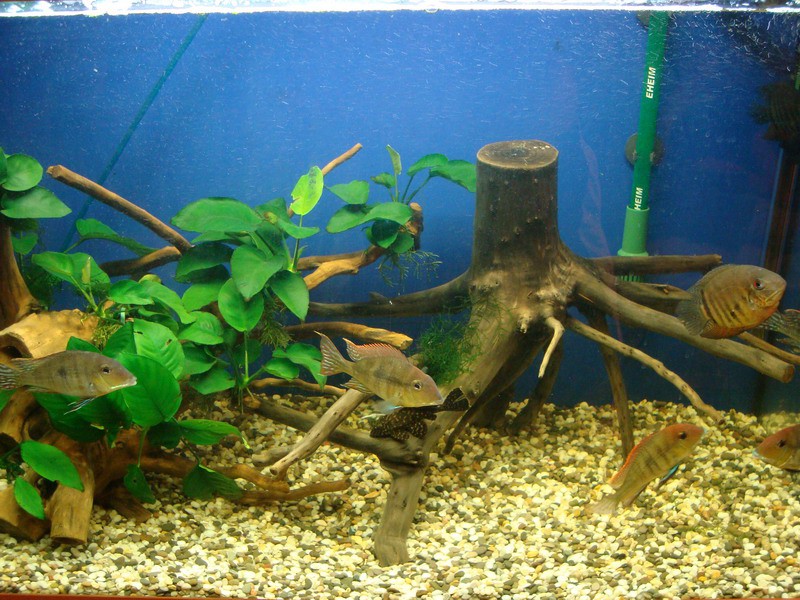 20.09.2009 22:44:04