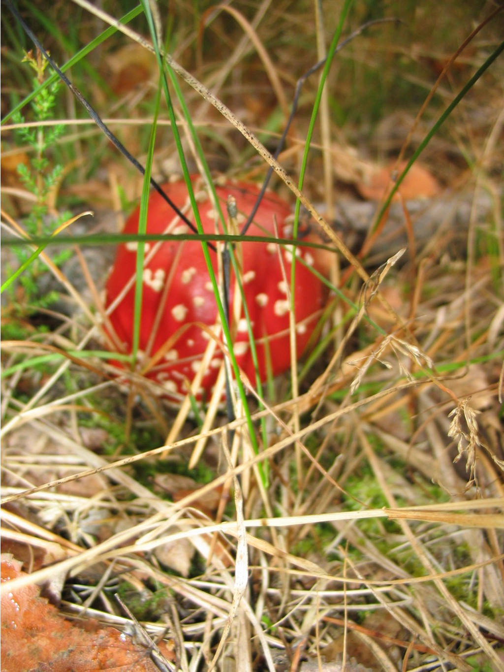 20.09.2009 22:44:56