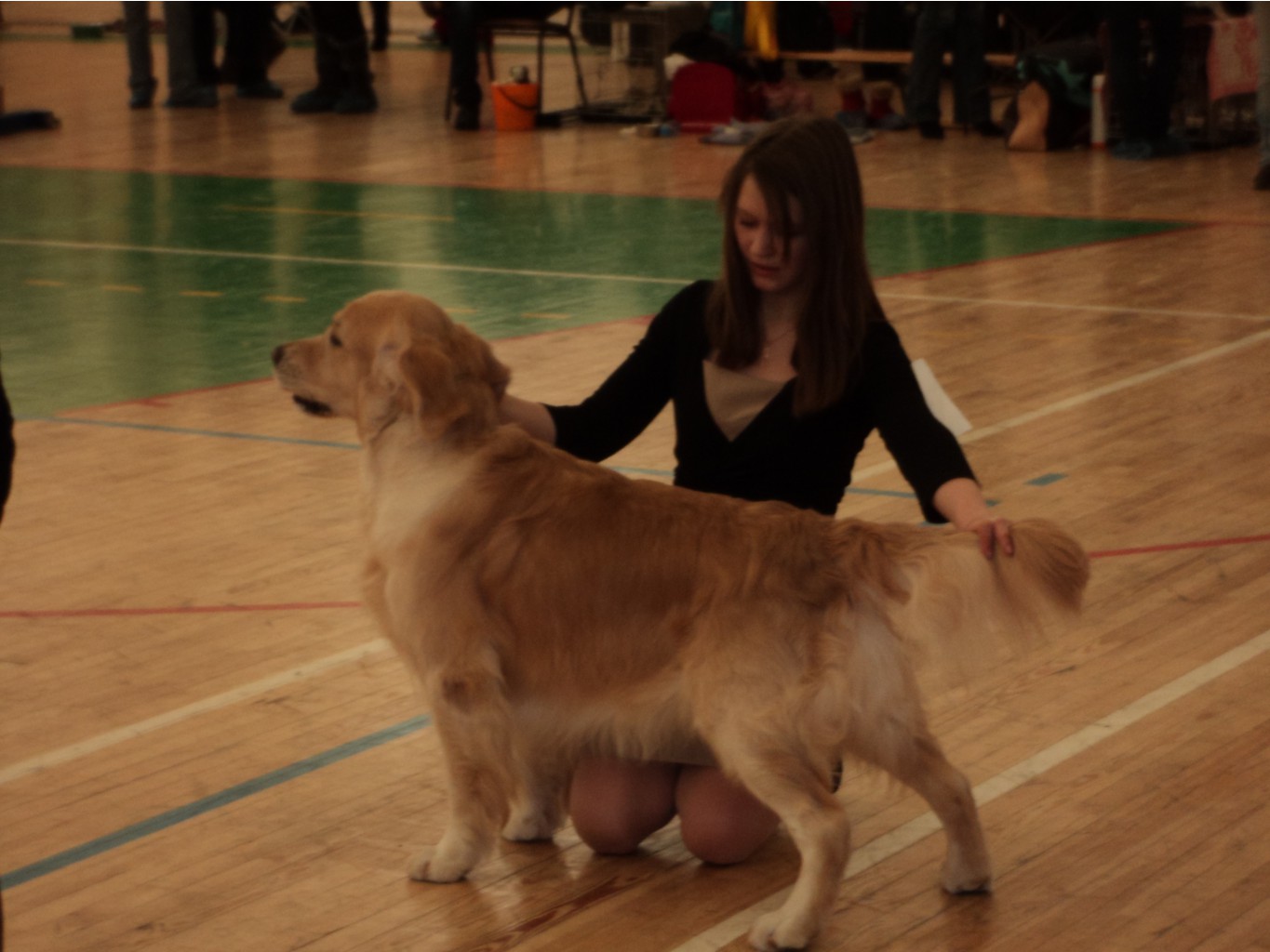 dsc01117.JPG