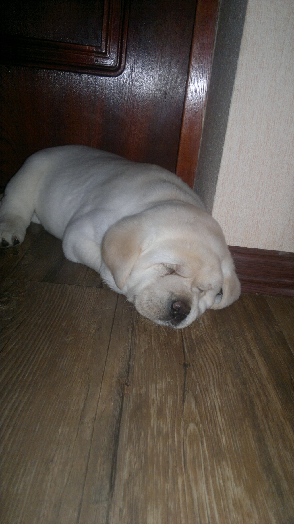 17082012799.jpg