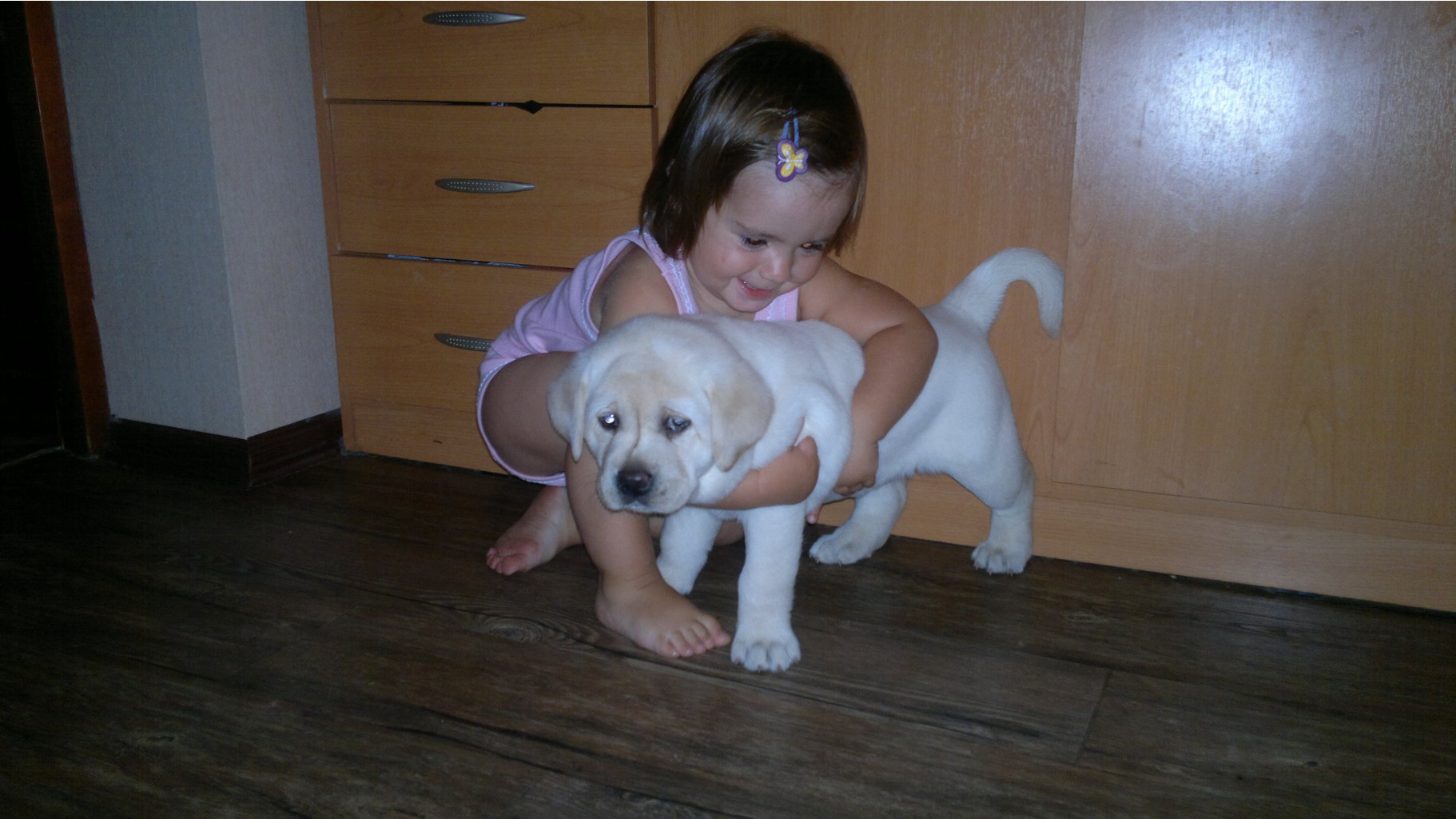 20082012810.jpg