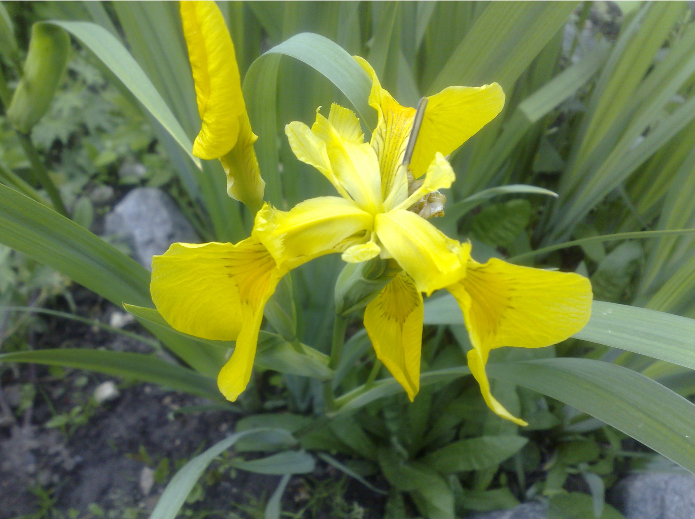 270420072044.jpg
