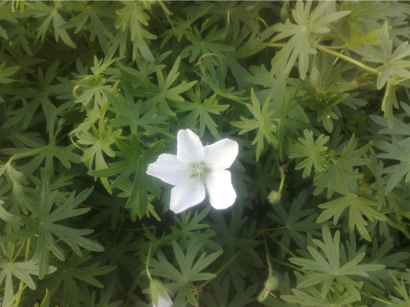 270420072055.jpg