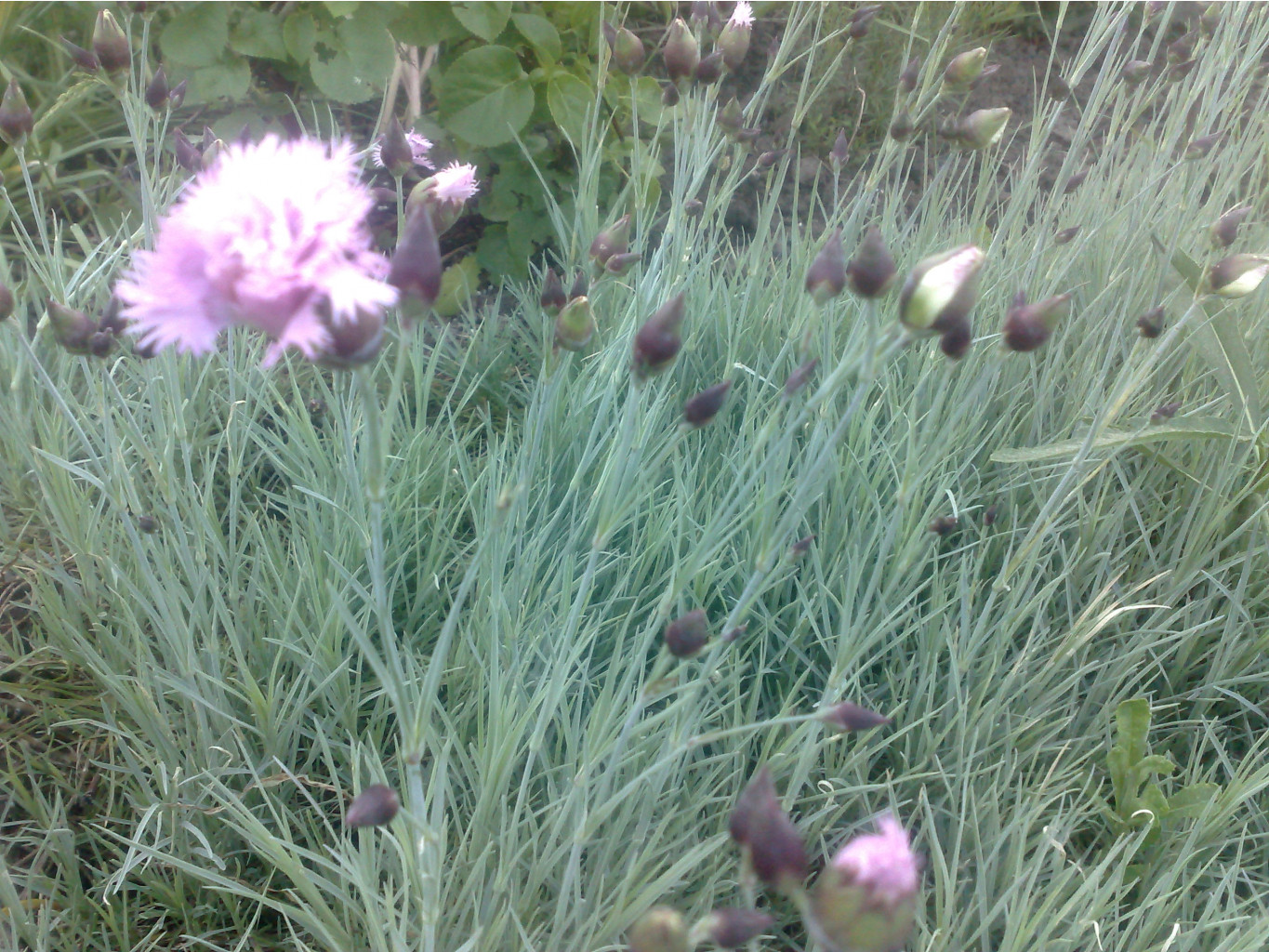 270420072047.jpg