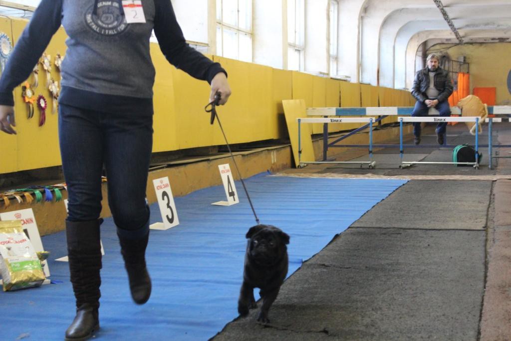 2012_12_16_5482.JPG