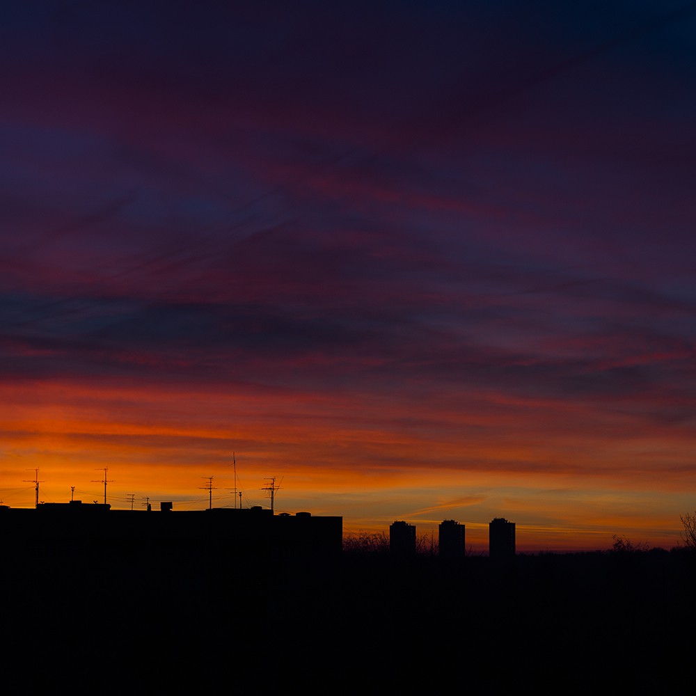 DSC03217.jpg