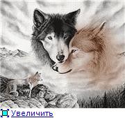 Волки — создания чистые и справедливые, недаром их называют санитарами лесов.
