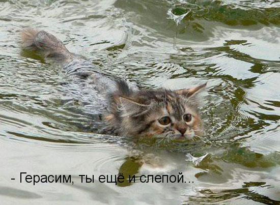 06.03.2013 16:11:14