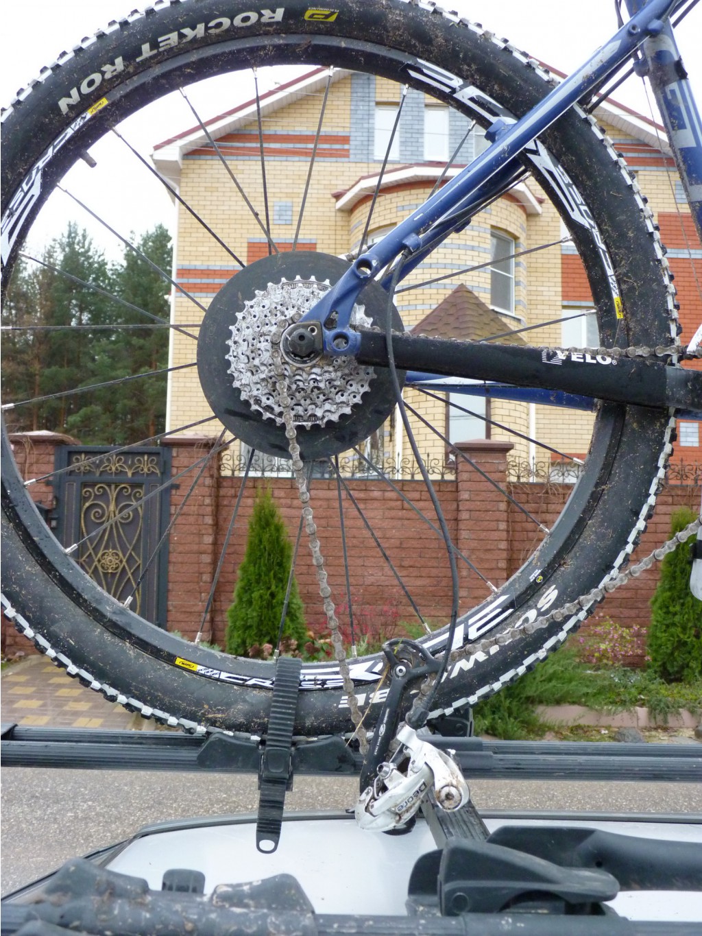 P1120345.JPG