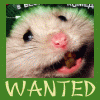18.11.2010 19:37:56