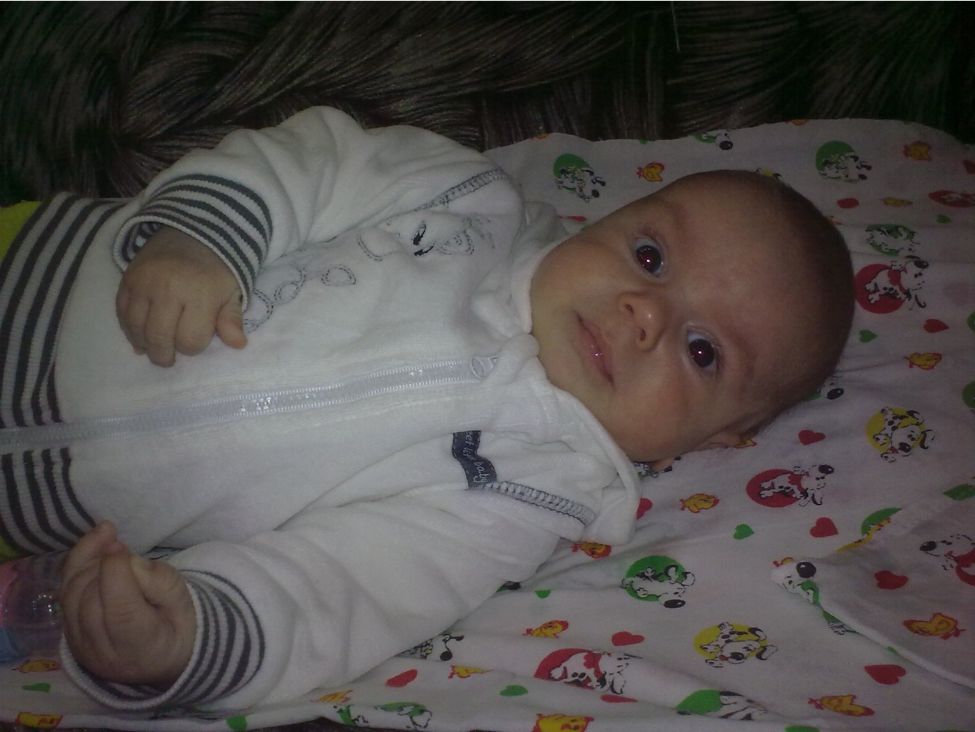04112012747.jpg