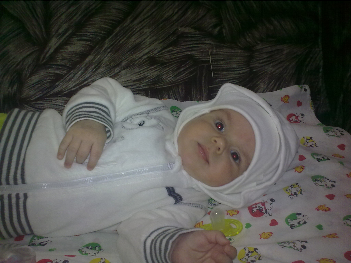 04112012734.jpg