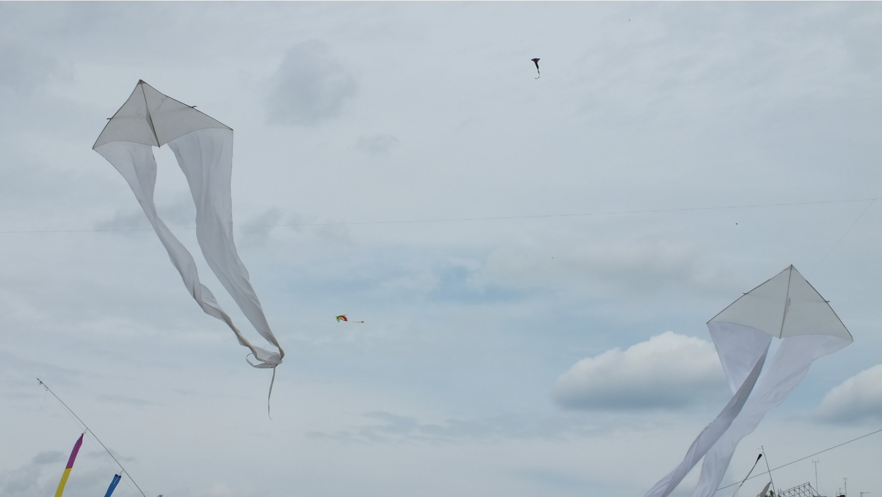 DSCF3062.JPG