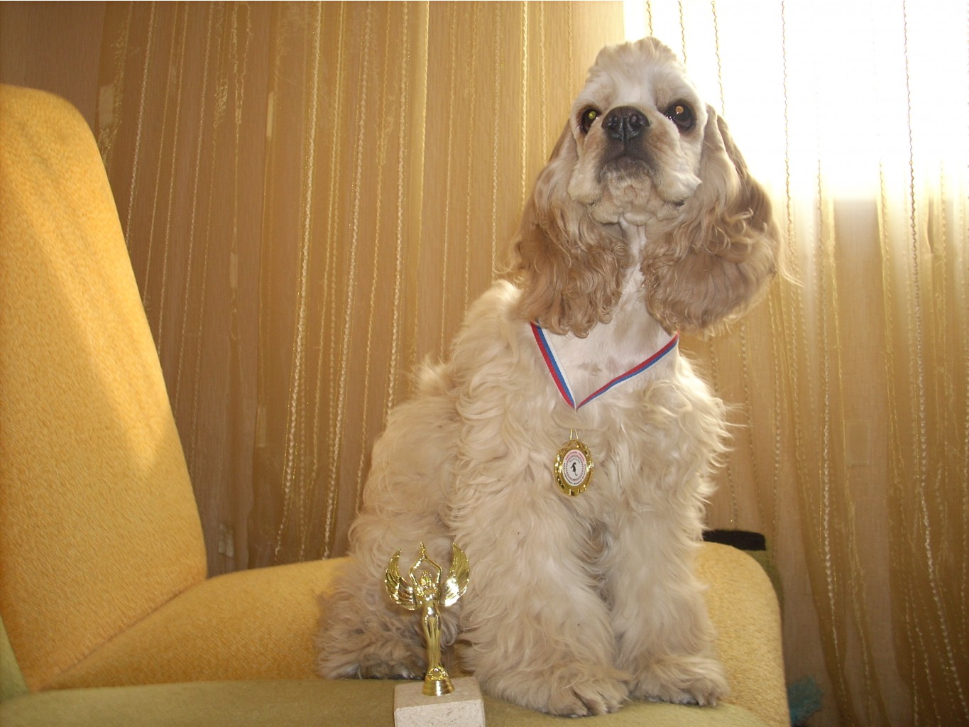 DSCN4335.JPG