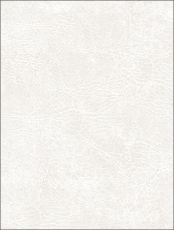 08.10.2009 11:30:59