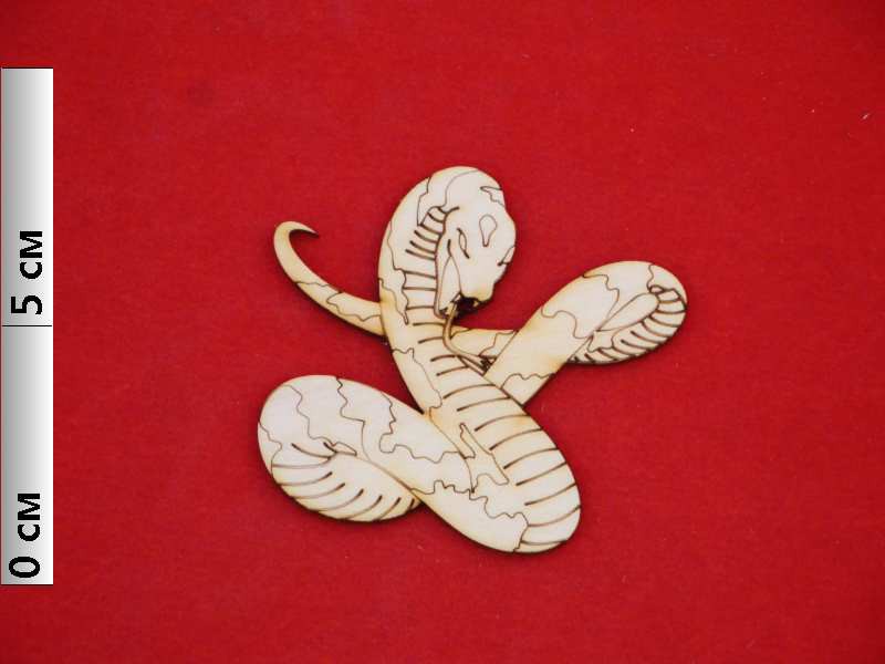 -4   12491    25.JPG