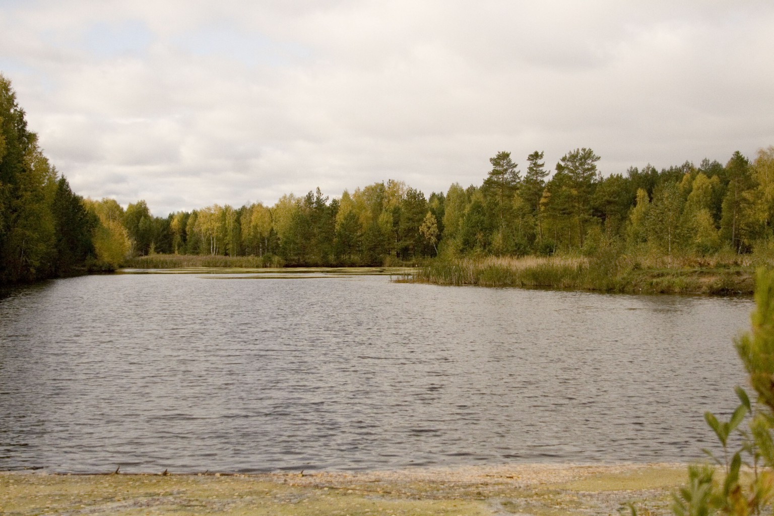09.10.2009 16:44:52