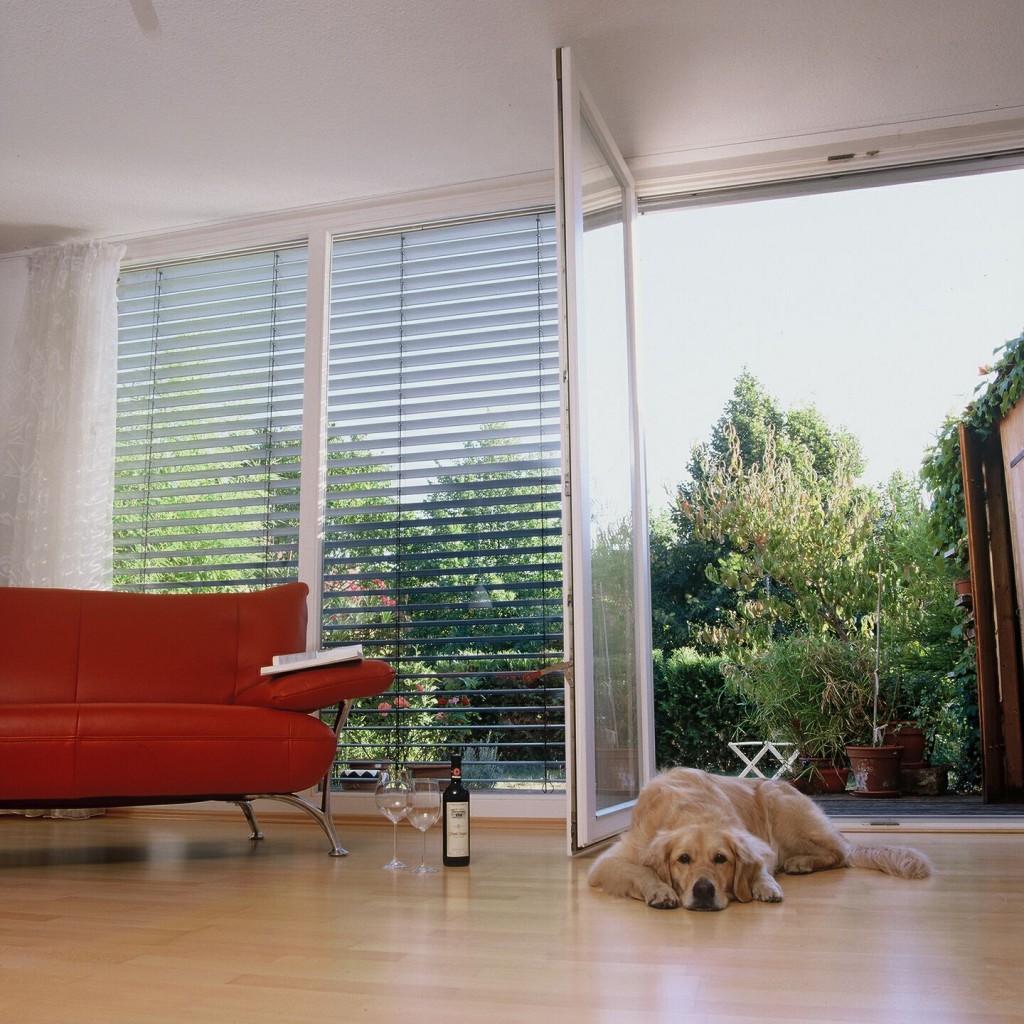 09-03-Jalousien-Wohnzimmer-und-Hund.jpg