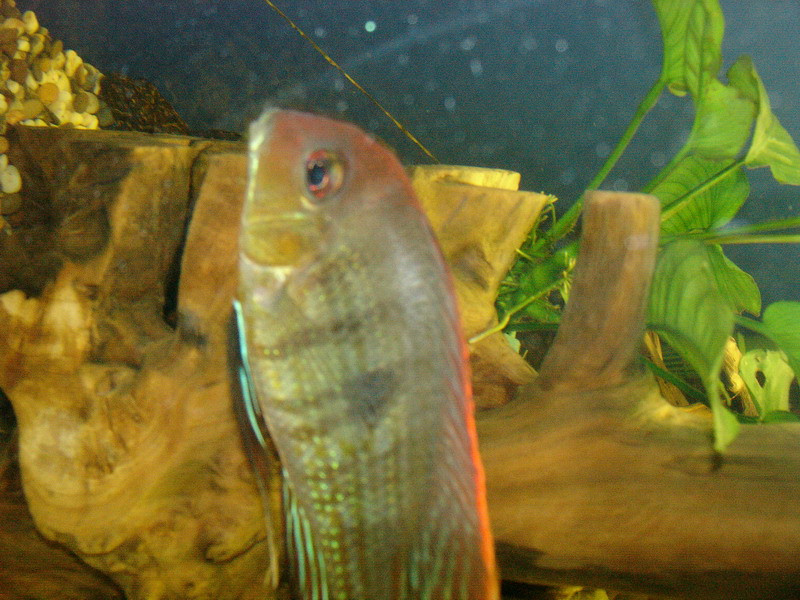 09.10.2009 21:06:30