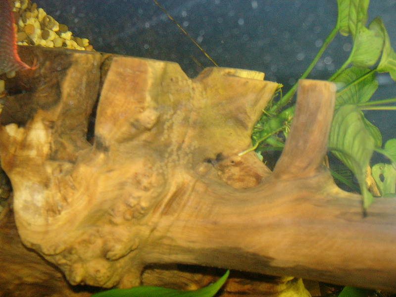 09.10.2009 21:06:38