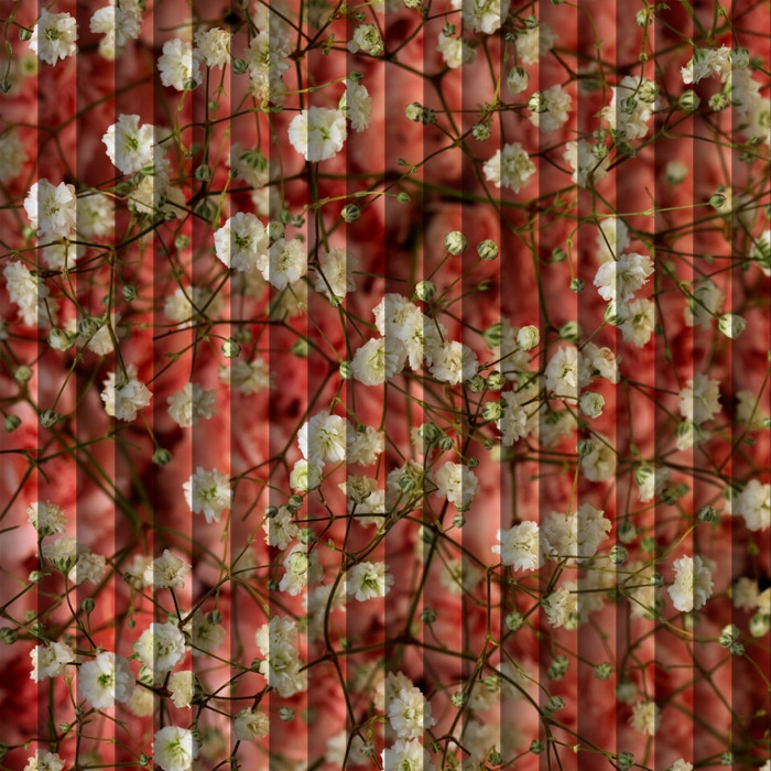 062.jpg