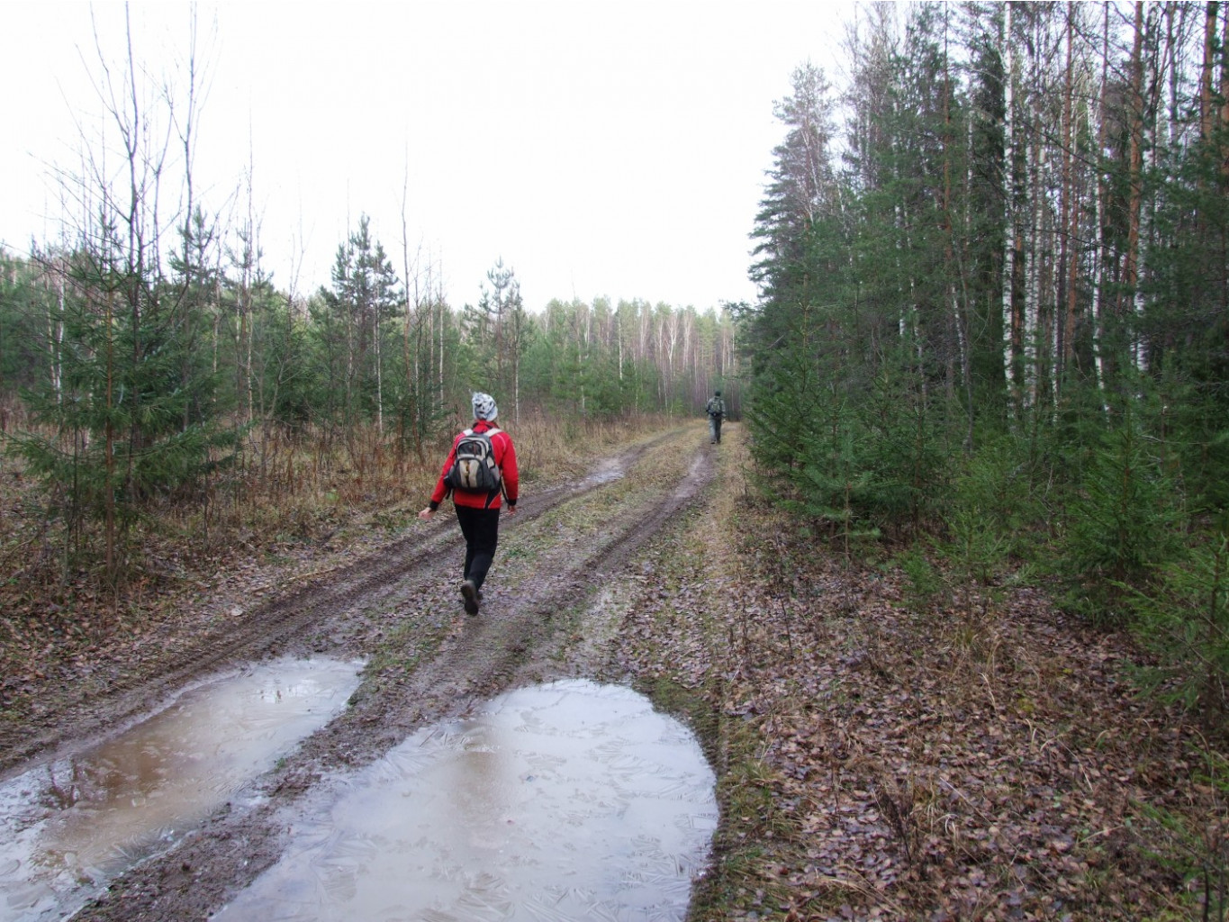 DSCF1170.JPG