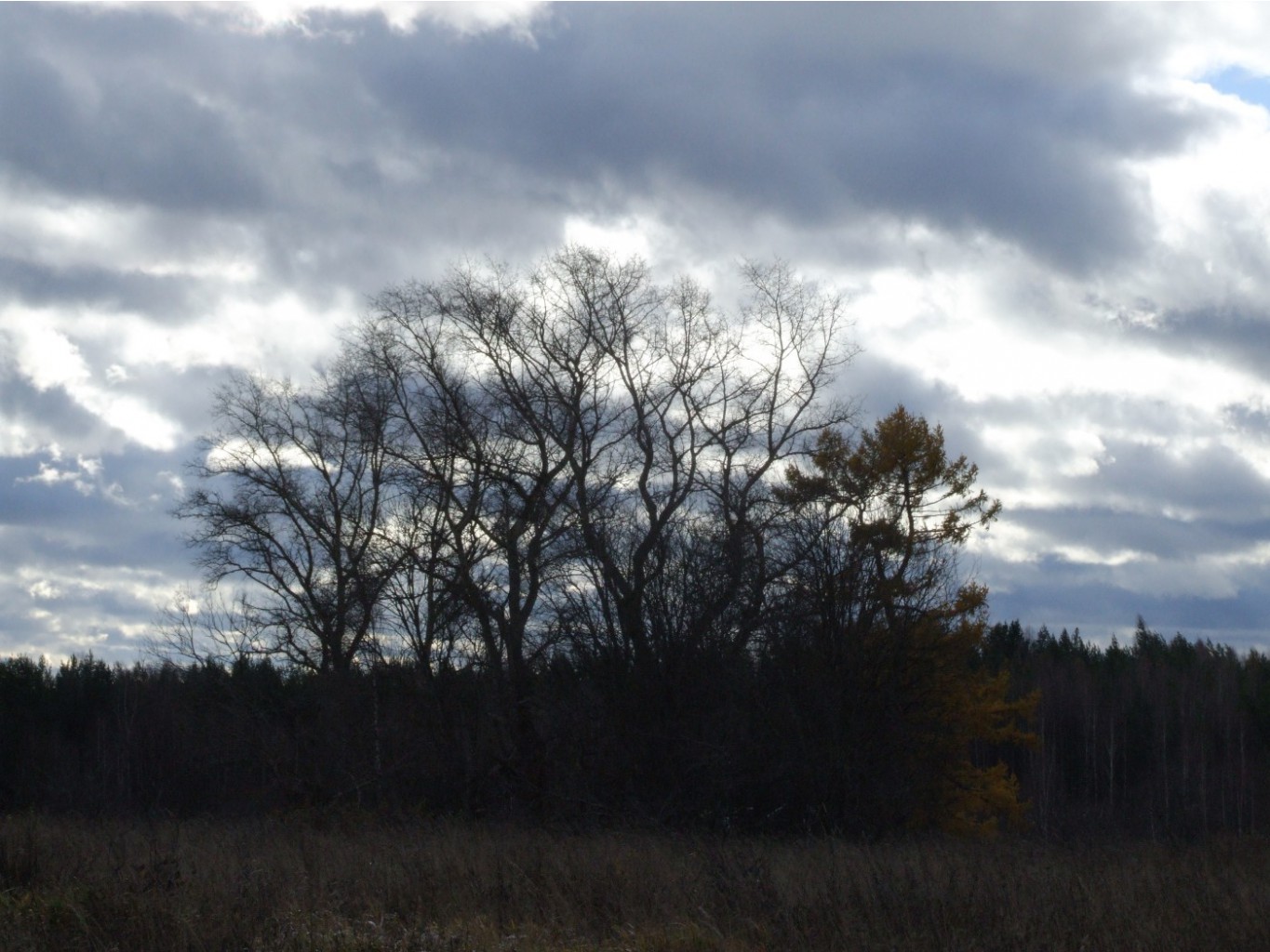 DSCF1089.JPG