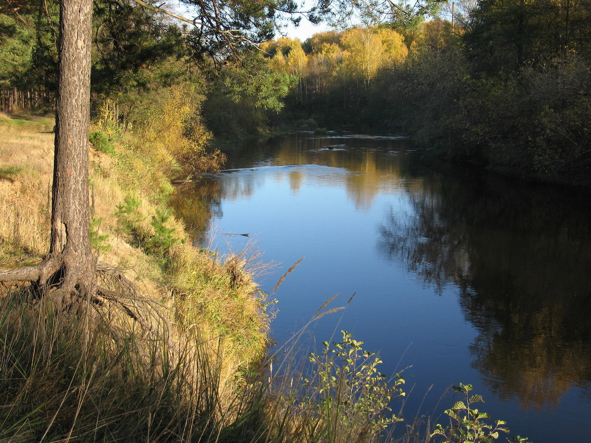 12.10.2009 13:48:18