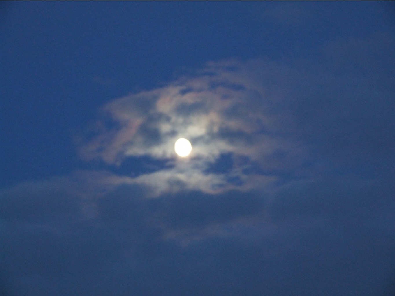 DSCF1151.JPG