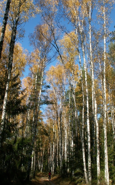 12.10.2009 20:05:56