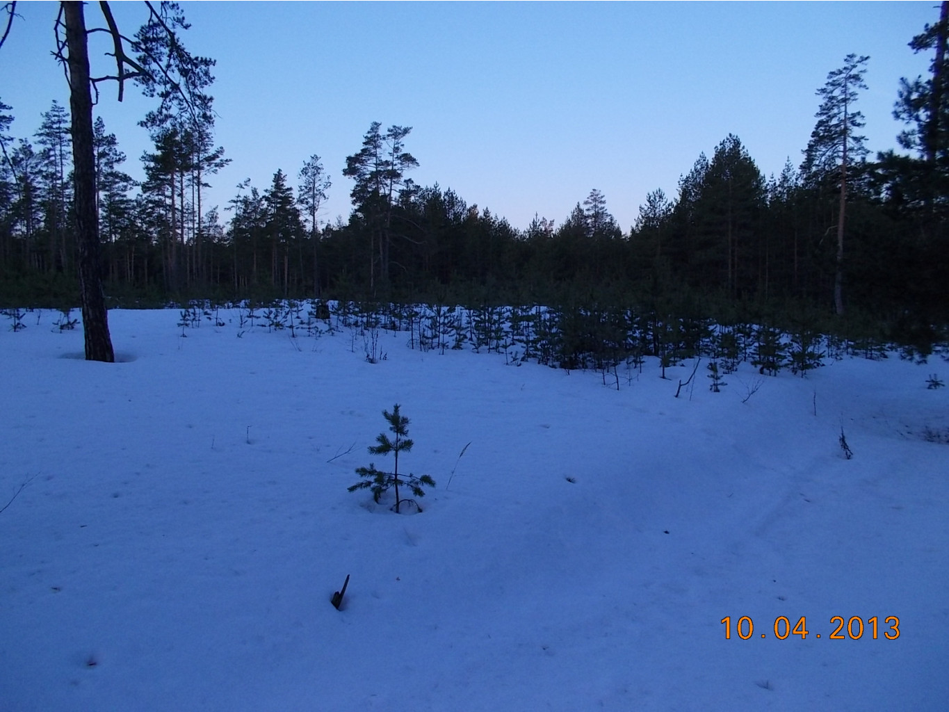 DSCN2173.JPG