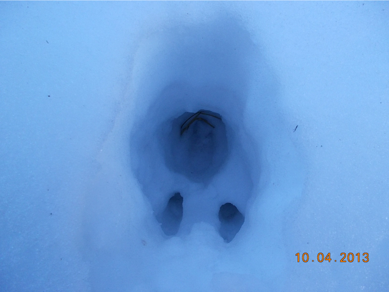 DSCN2178.JPG